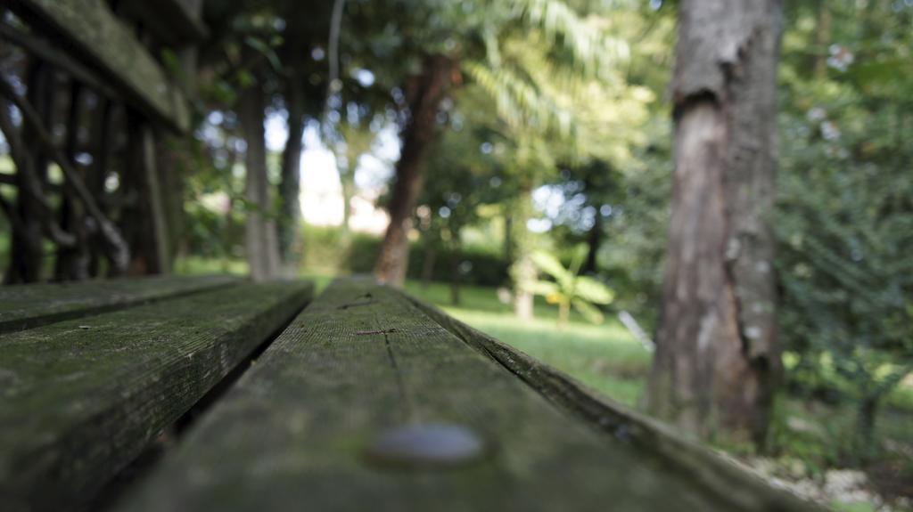 Agriturismo Da Gas San Giorgio In Bosco Zewnętrze zdjęcie