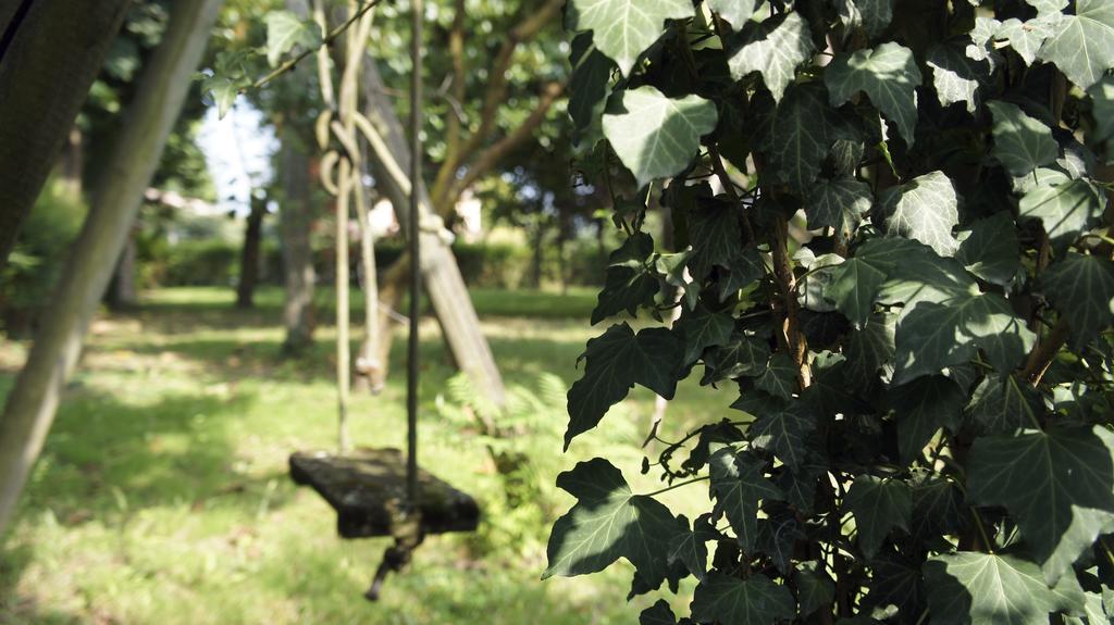 Agriturismo Da Gas San Giorgio In Bosco Zewnętrze zdjęcie